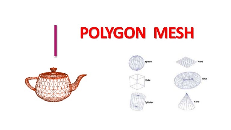 Polygon mesh