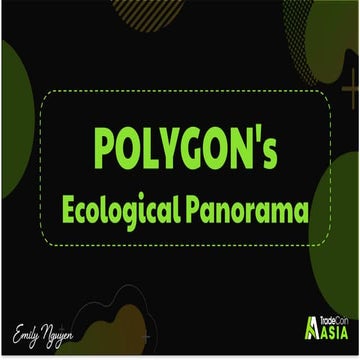 Polygon's ecosystem