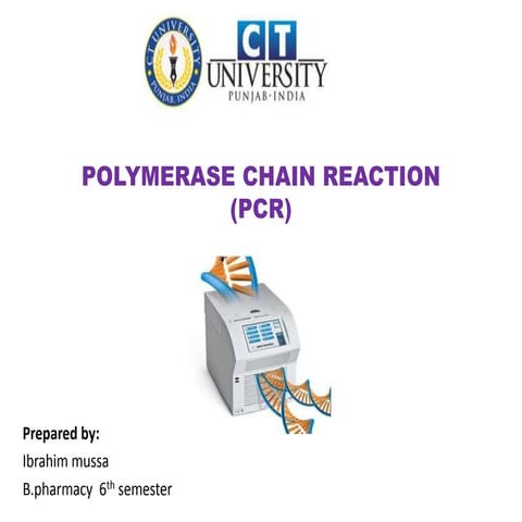 Polymerase chain reaction 