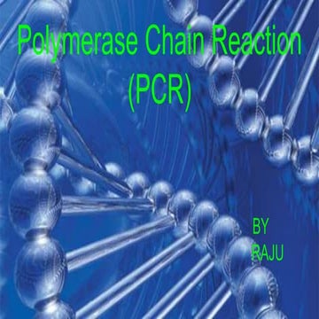 Reverse transcriptase polymerase chain reaction