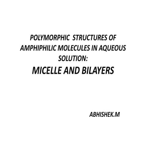Polymorphic  structures of amphiphilic molecules in aqueous solution