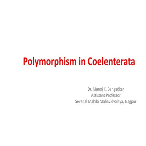 Polymorphism in coelenterata