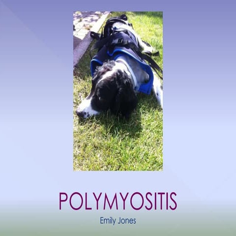Polymyositis