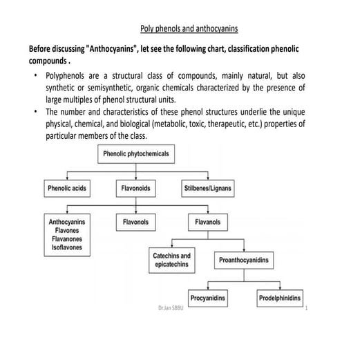Poly phenole flavonoids anthocyanins