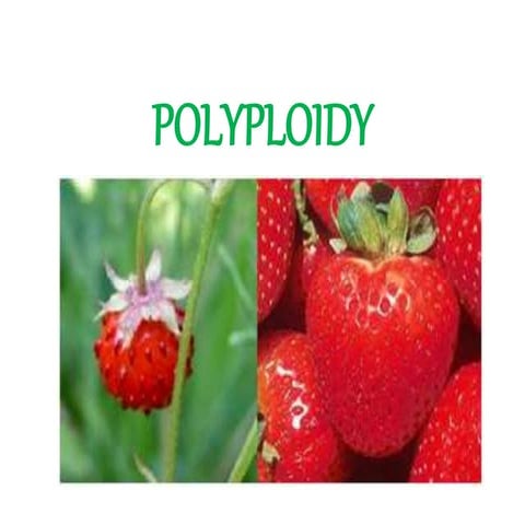 Polyploidy