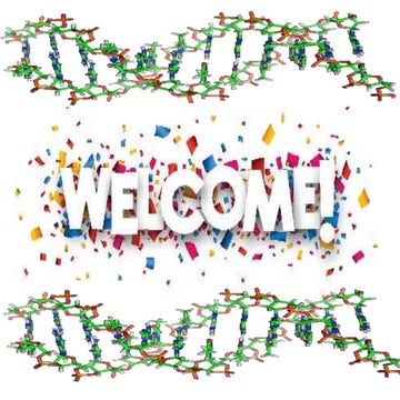 Polyploidy in ornamental crops