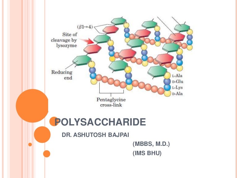 Structure Of A Polysaccharide