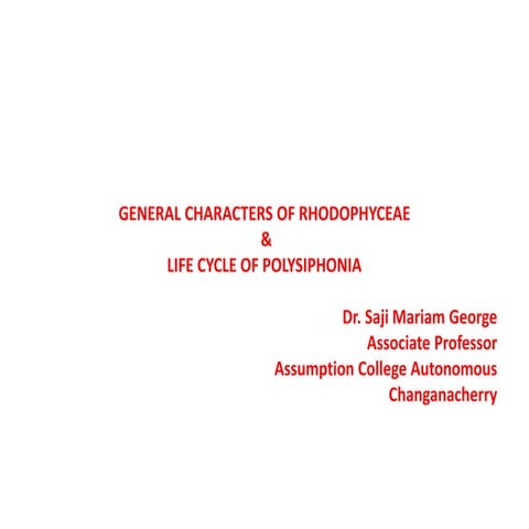  General Characters of Rhodophyceae &  Life Cycle of Polysiphonia   SMG