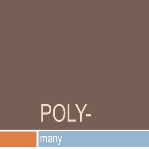 Poly vocabulary words