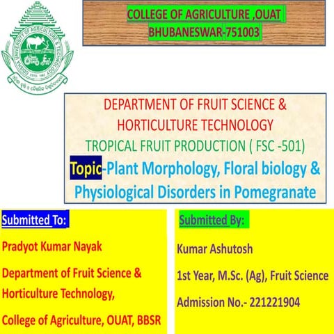 Botany, floral biology and physiological disorders Pomegranate.pptx