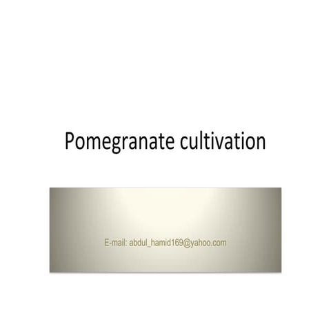 Pomegranate Cultivation Ppt