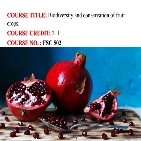 Pomegranate reetika assign2