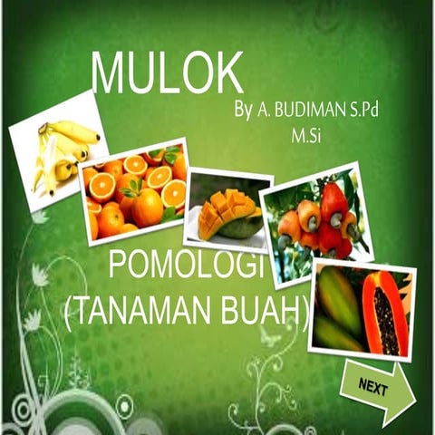 Pomologi (tanaman buah)