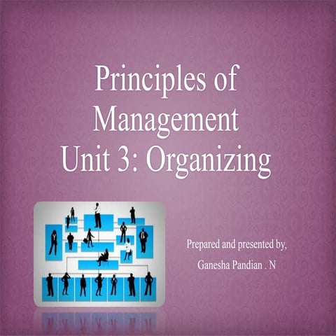 Principles of Management unit 3 organizing