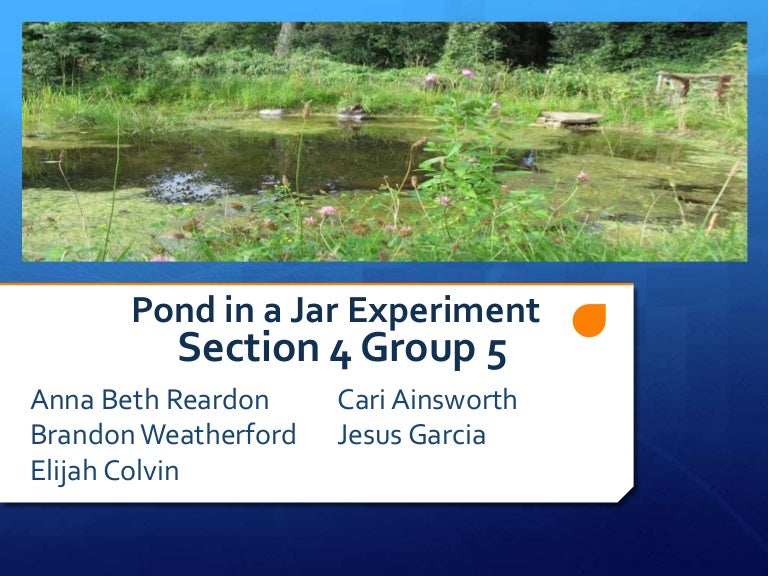 Pond in a jar presentation