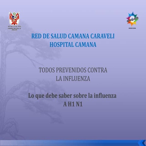 ponencia TODOS PREVENIDOS CONTRA LA INFLUENZA