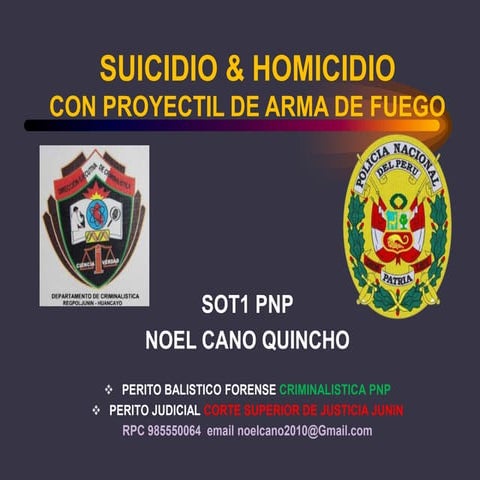 Ponencia noel cano suic homic x paf | PPTX