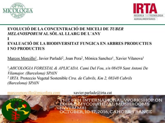 Mycoforest technology en | PDF