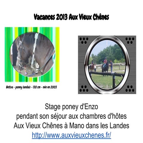 Découverte de poney