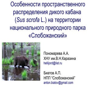 Ponomareva A. Spatial distribution ...