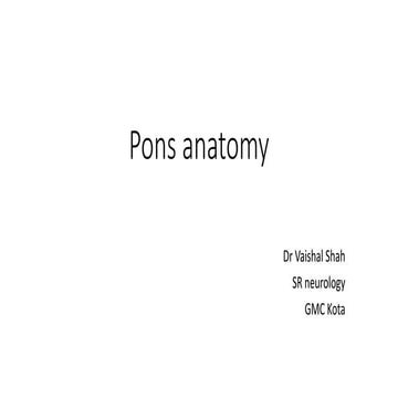 Anatomy of Pons