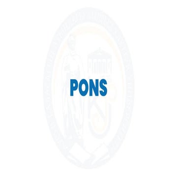 Pons.pdf internal and external features.