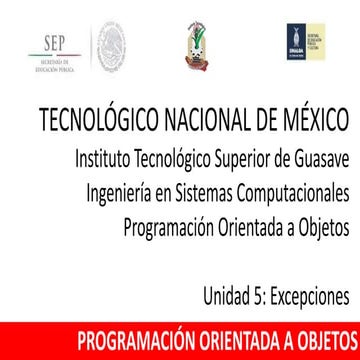 Programación Orientada a Objetos - Unidad 5 Excepciones