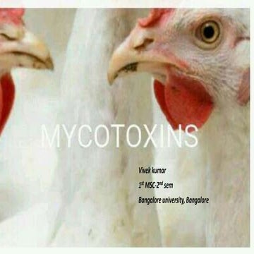 Mycotoxins