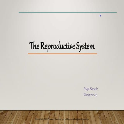 Reproductive-System.ppt