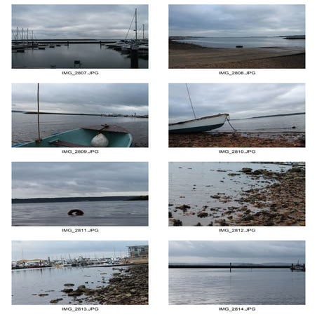 Poole contact sheet