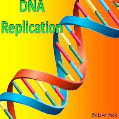 Poole l dna_replication