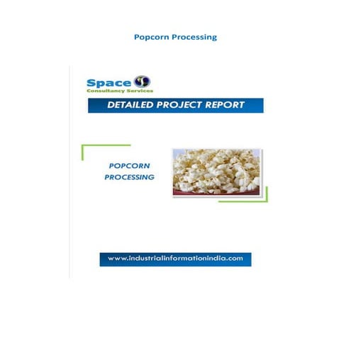 Popcorn Processing Project Report, Feasibility Study Report and Business Idea