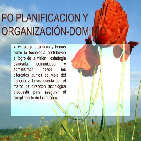 Po planificacion y organización dominio elizabeth flores