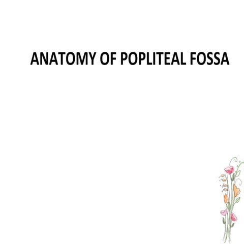 Popliteal fossa