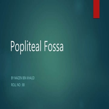 Popliteal fossa
