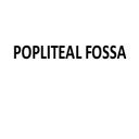 Popliteal fossa and Back of thigh pptx