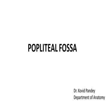 popliteal fossa.pptx
