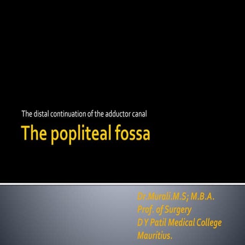 Popliteal fossa   