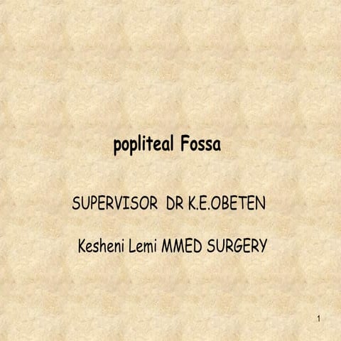 Popliteal fossa for Mmed and Medical students