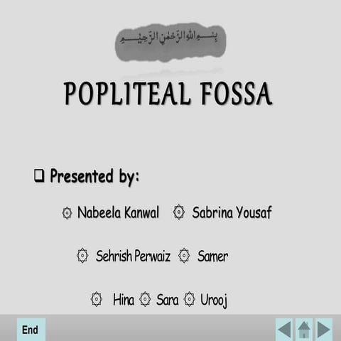 Popliteal Fossa 2.ppt