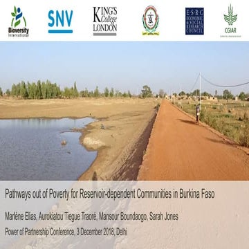 Power of partnership conference: Presentation: Pathways out of poverty