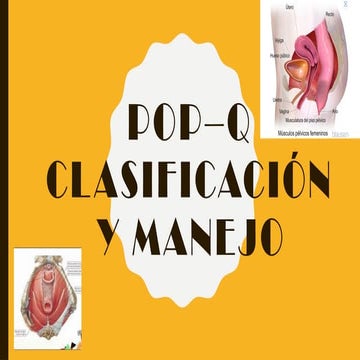 TECNICA QUIRURGICA DE COLPOPERINEOPLASTIA.pptx