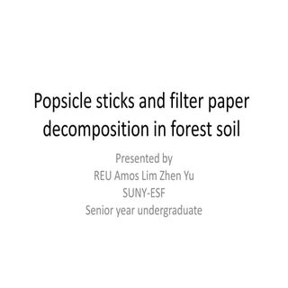 Popsicle sticks and filter paper de...