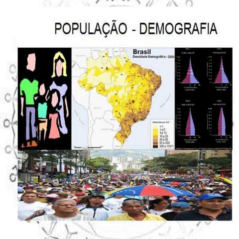 População brasileira