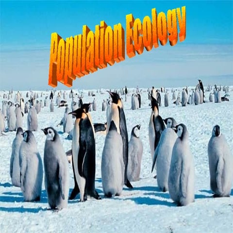 Population Ecology Intro