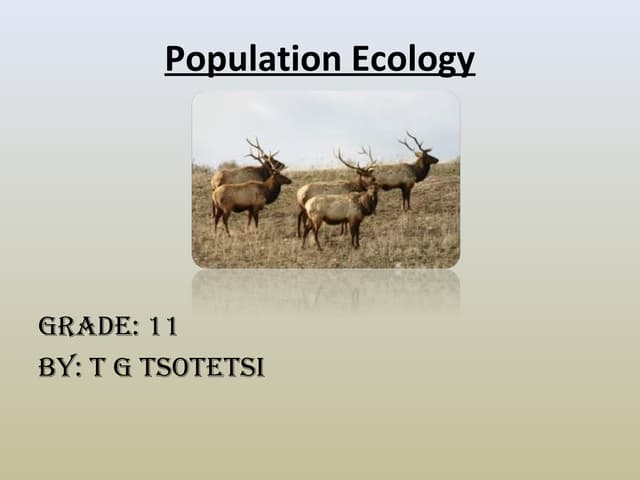 Population dynamics presentation | PPTX