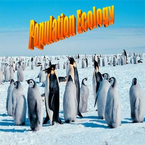 Population Ecology Intro