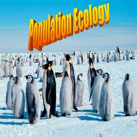 Population ecology intro