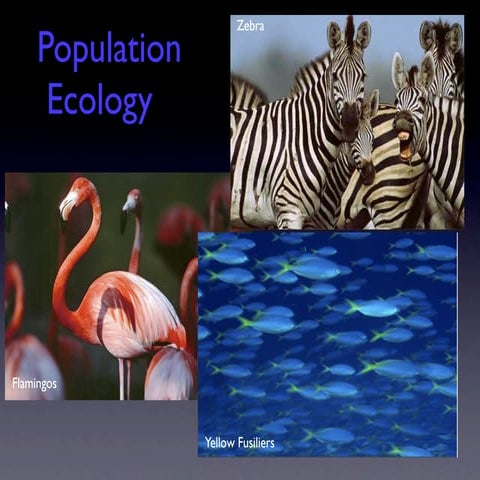 Population Ecology