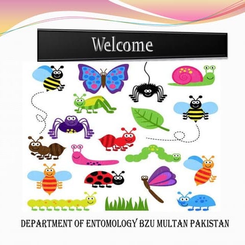 Population Estimation Methods of Insects by M.Salman